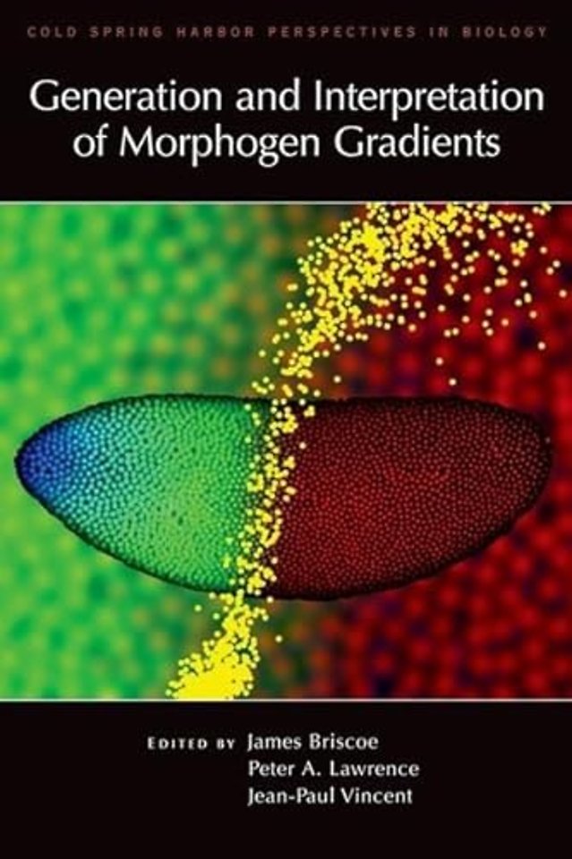 Generation and Interpretation of Morphogen Gradients