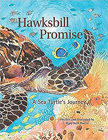 Hawksbill Promise