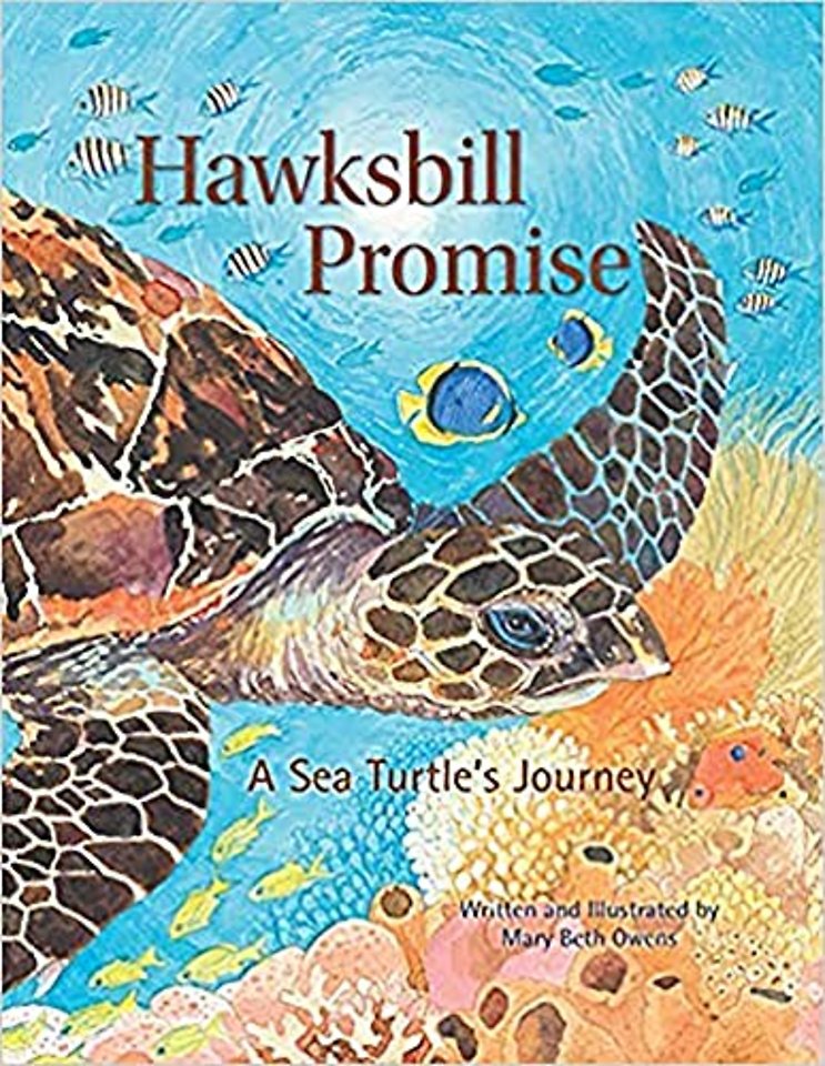 Hawksbill Promise