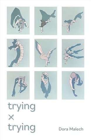 Trying x Trying