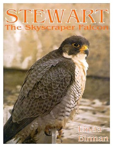 Stewart