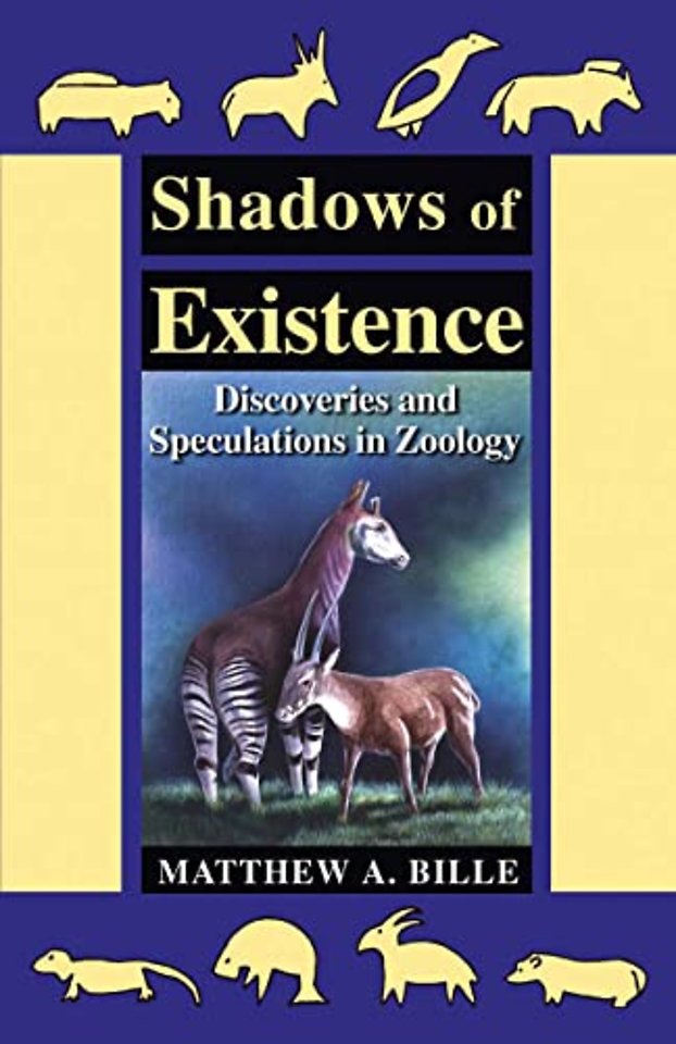 Shadows of Existence