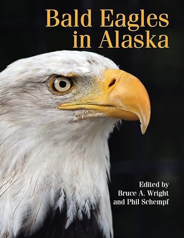 Bald Eagles in Alaska