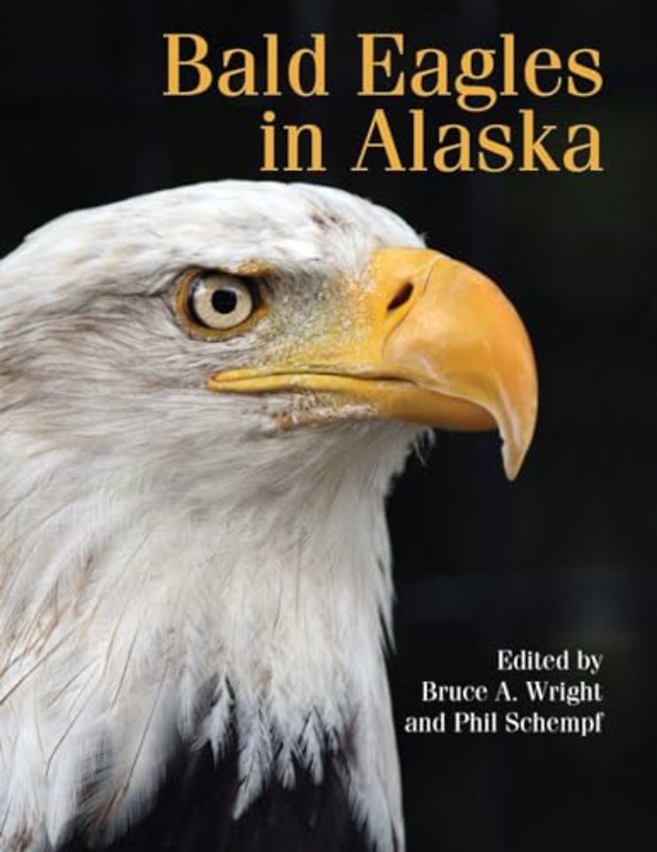Bald Eagles in Alaska