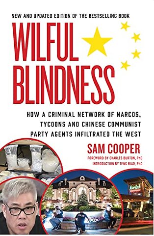 Wilful Blindness US and International Edition