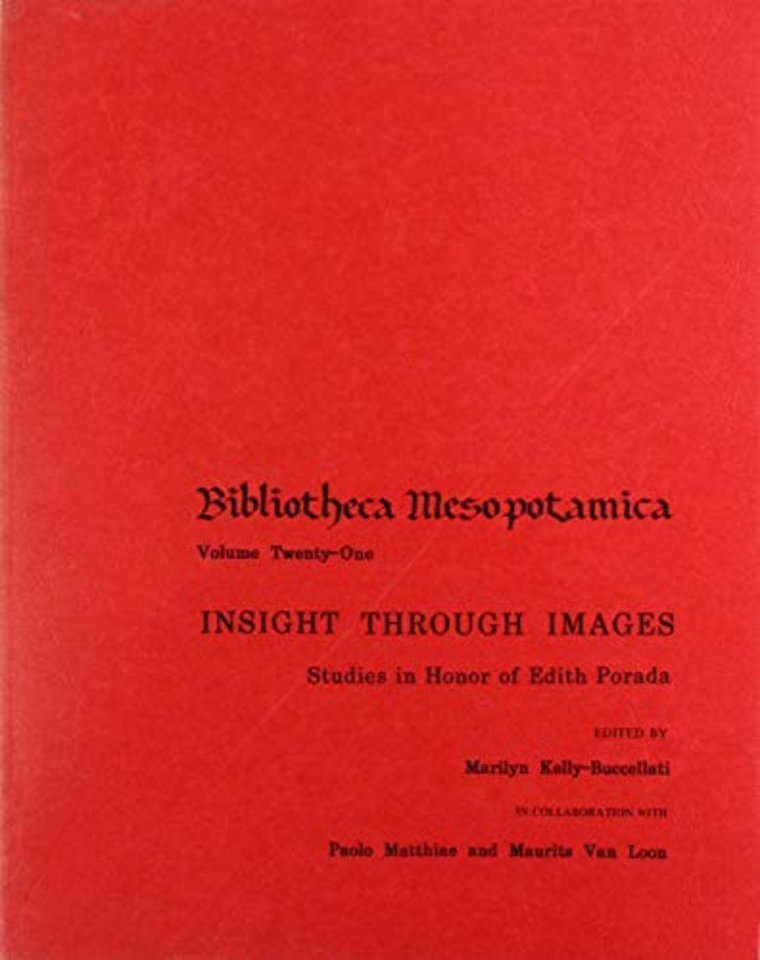 Insight through Images