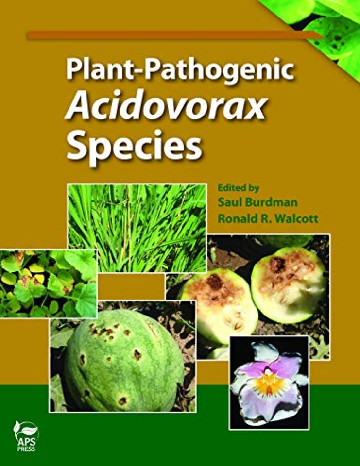 Plant-Pathogenic Acidovorax Species
