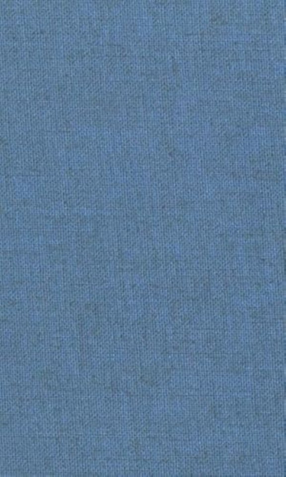 The Greek Prothetic Vowel