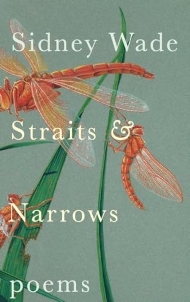 Straits & Narrows