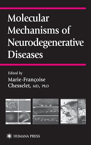 Molecular Mechanisms of Neurodegenerative Diseases