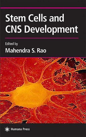 Stem Cells and CNS Development