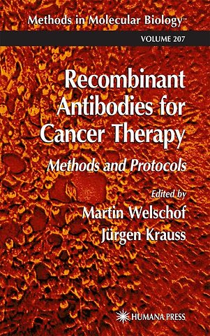 Recombinant Antibodies for Cancer Therapy