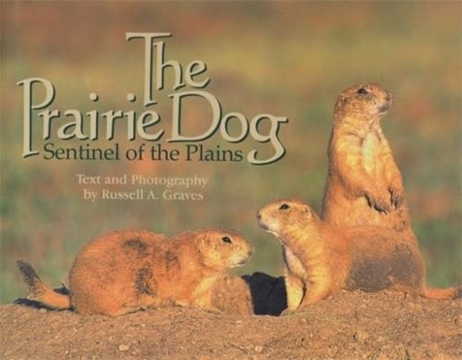 The Prairie Dog – Sentinel of the Plains