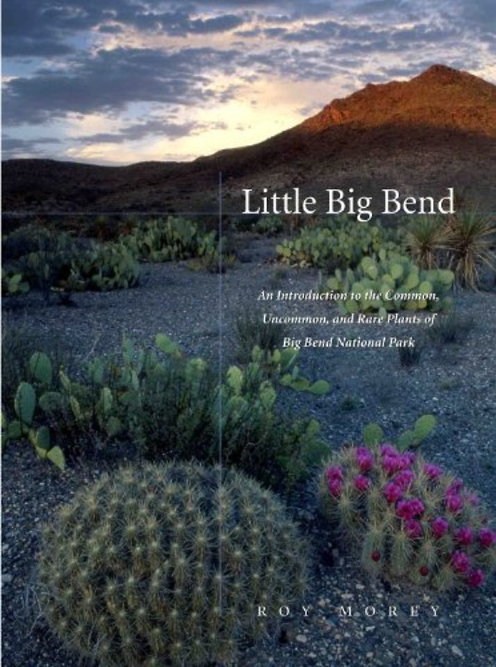 Little Big Bend – Common, Uncommon, and Rare Plants of Big Bend National Park