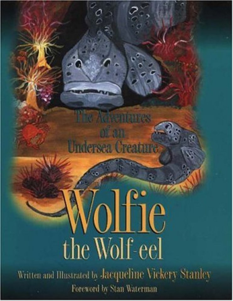 Wolfie the Wolf-eel