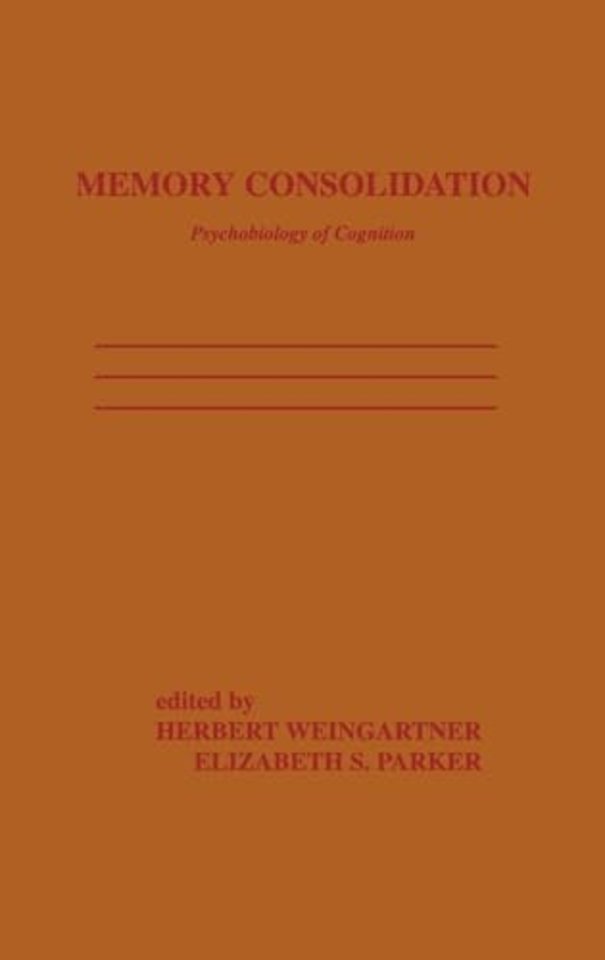 Memory Consolidation
