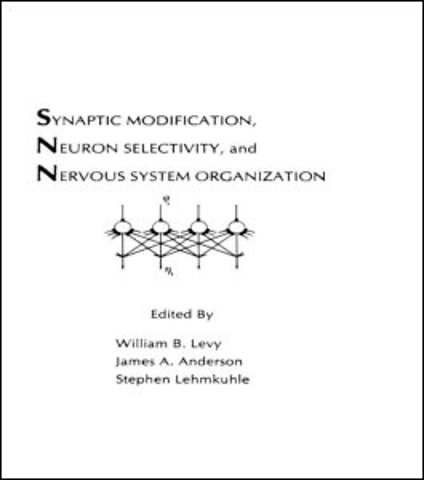 Synaptic Modification, Neuron Selectivity, and Nervous System Organization