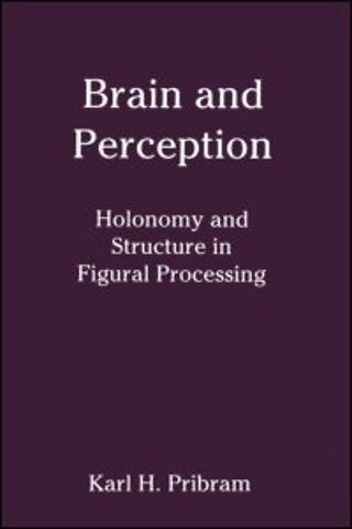 Brain and Perception