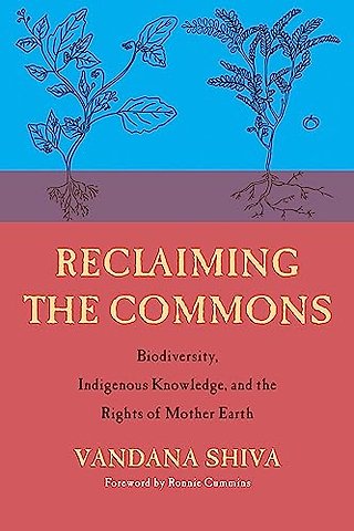 Reclaiming the Commons