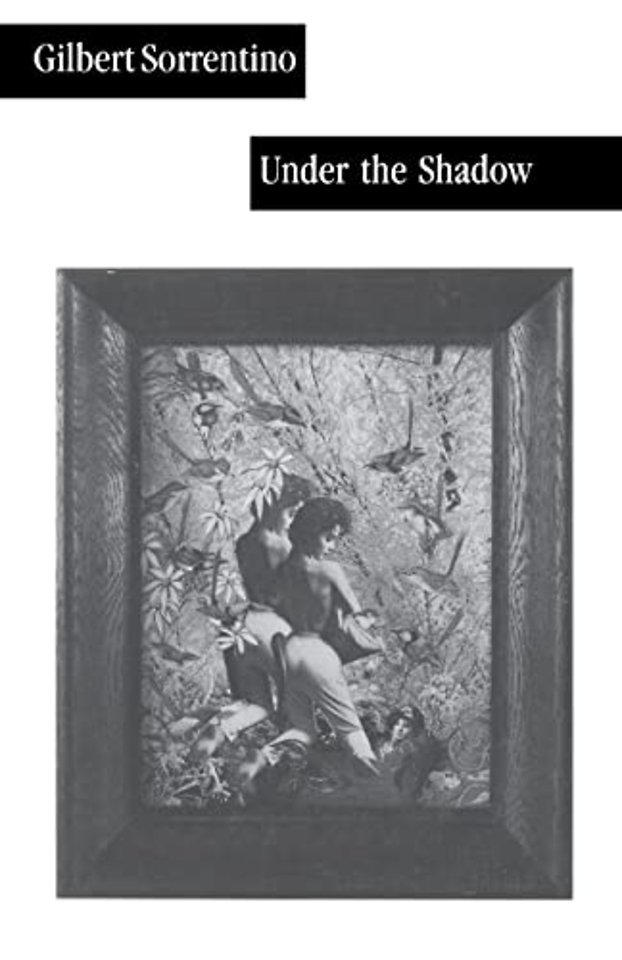 Under the Shadow