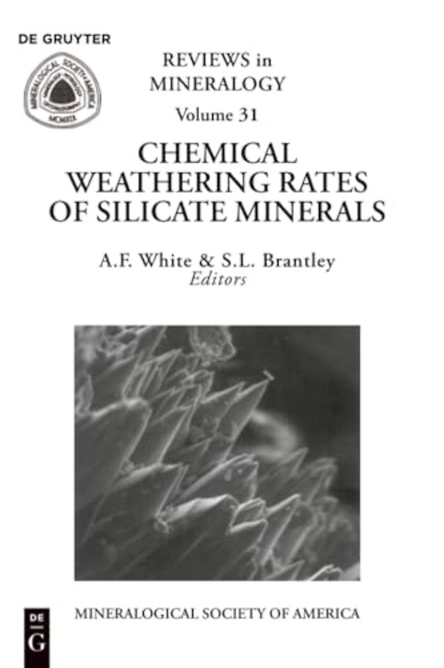Chemical Weathering Rates of Silicate Minerals