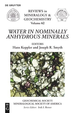 Water in Nominally Anhydrous Minerals
