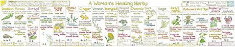 Herbal Chart