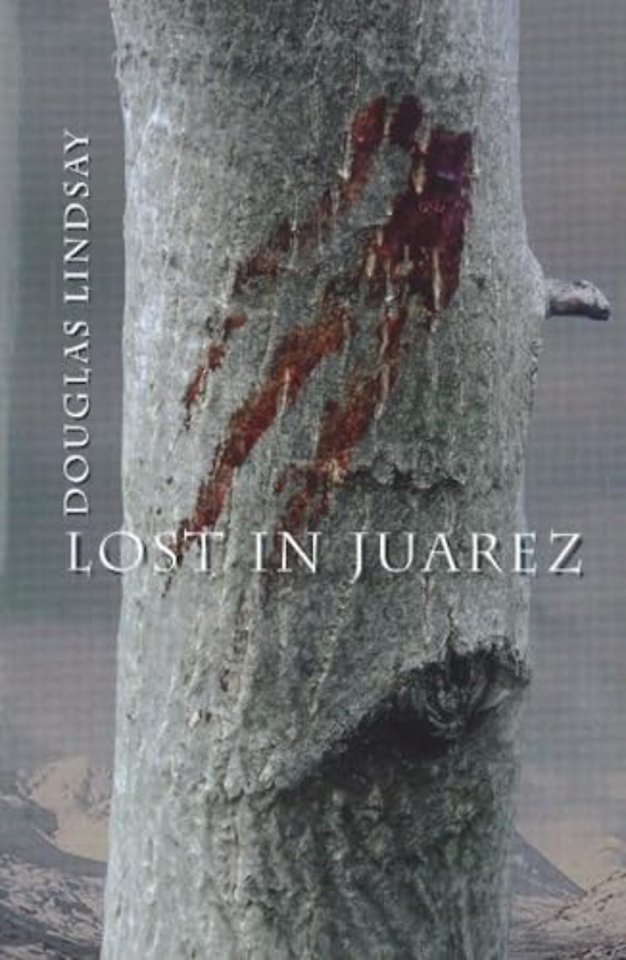 Lost in Juarez