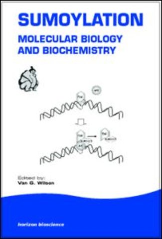 Sumoylation
