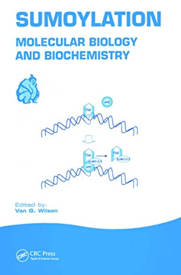 Sumoylation