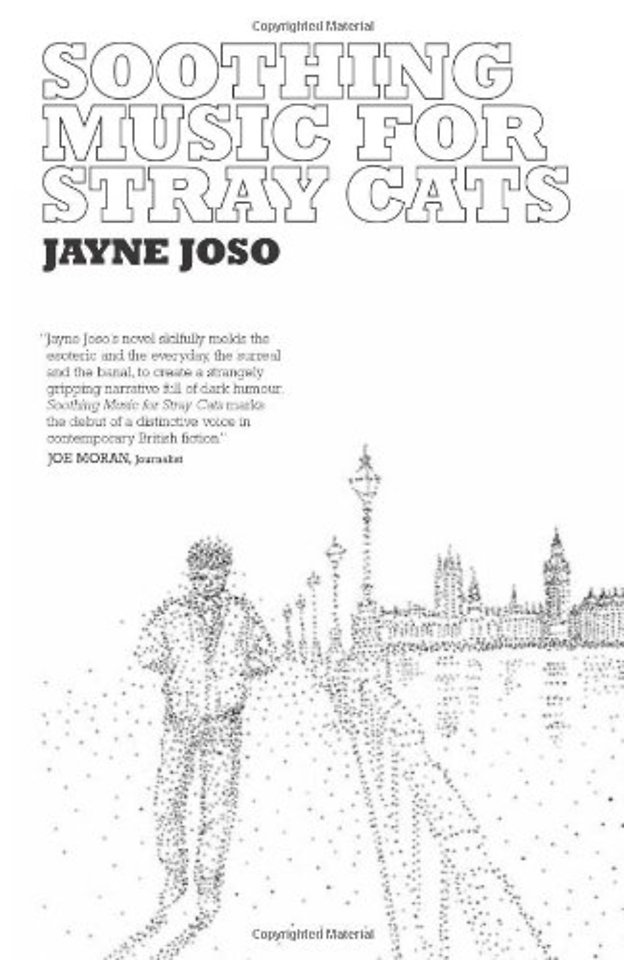 Soothing Music for Stray Cats