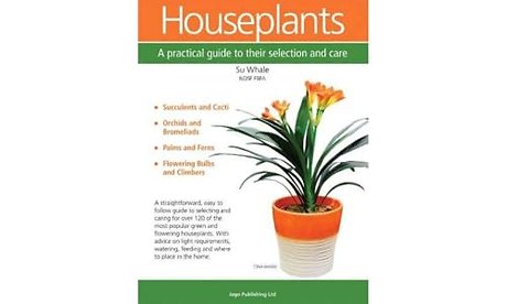 Houseplants