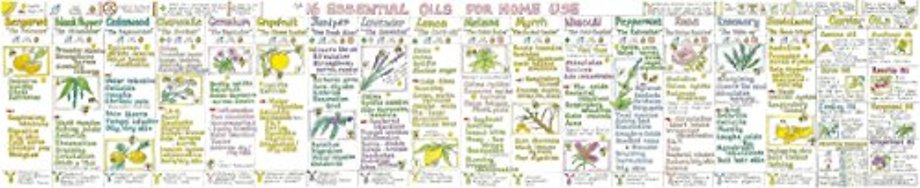 Essential Oils for Home Use