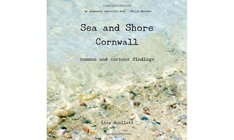 Sea and Shore Cornwall