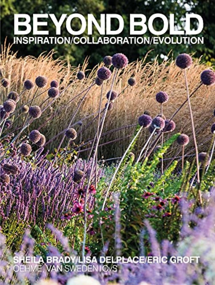 Beyond Bold: Inspiration, Collaboration, Evolution