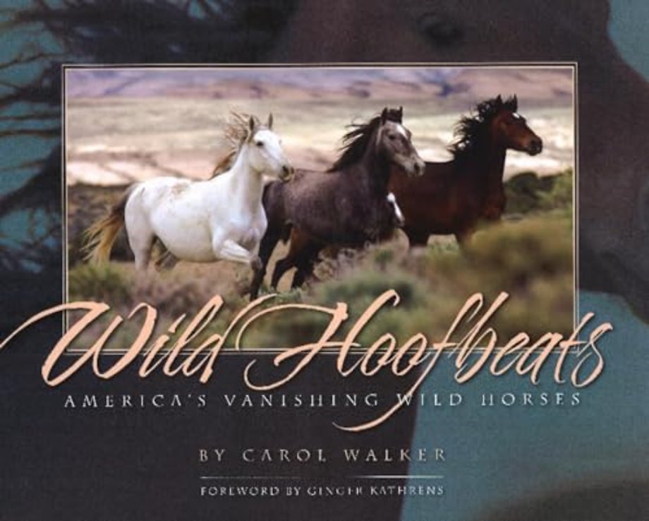 Wild Hoofbeats