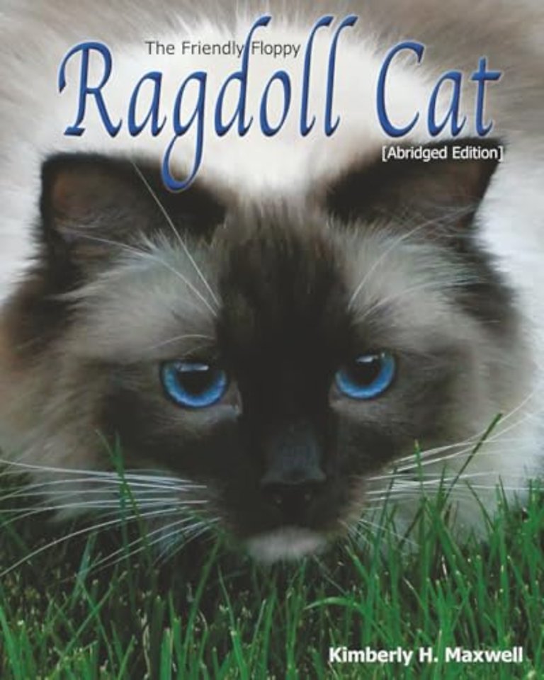 The Friendly Floppy Ragdoll Cat