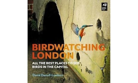 Birdwatching London