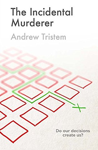 The Incidental Murderer