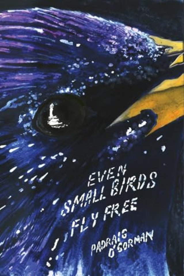 even small birds fly free