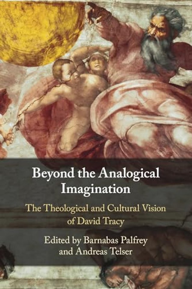Beyond the Analogical Imagination