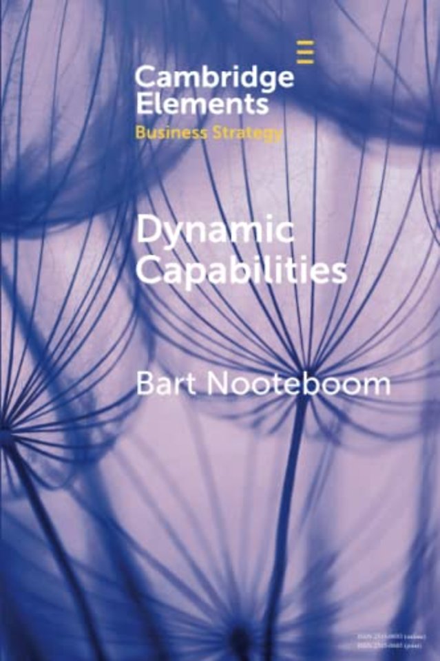 Dynamic Capabilities