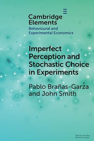 Imperfect Perception and Stochastic Choice in Experiments