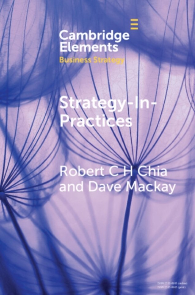 Strategy-In-Practices