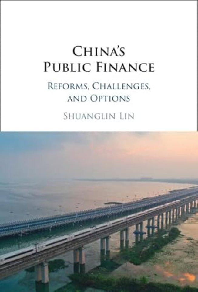 China's Public Finance