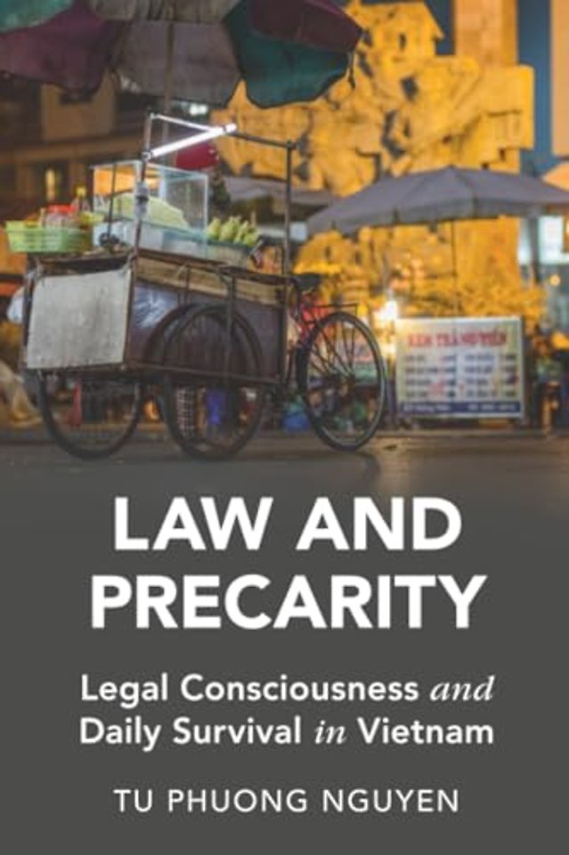 Law and Precarity
