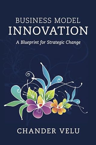 Business Model Innovation