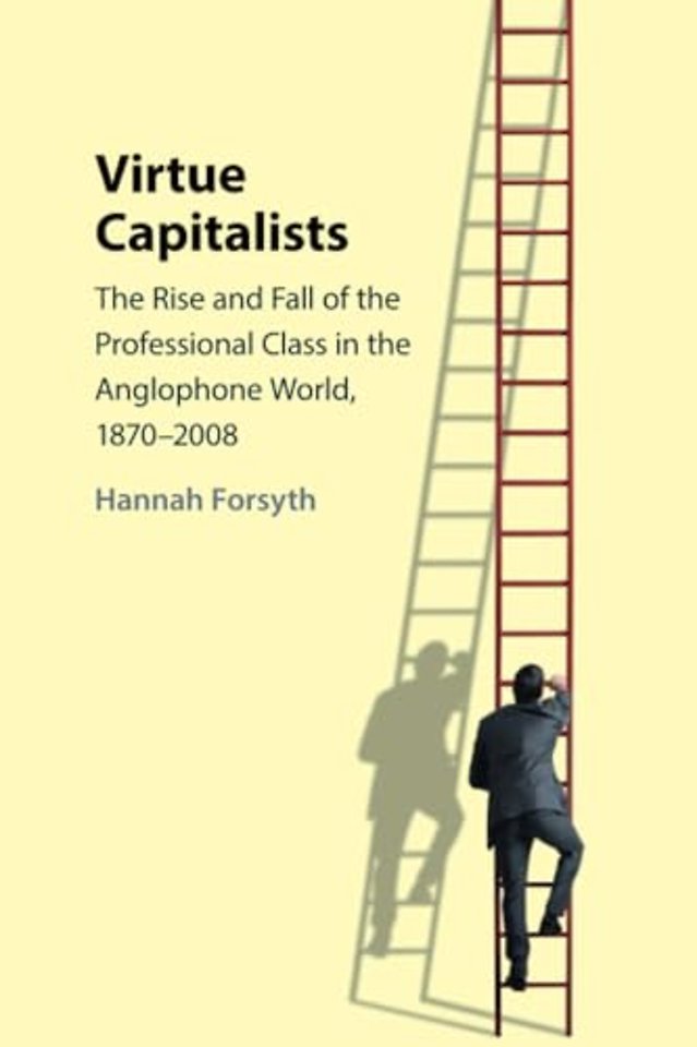 Virtue Capitalists