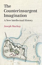 The Counterinsurgent Imagination