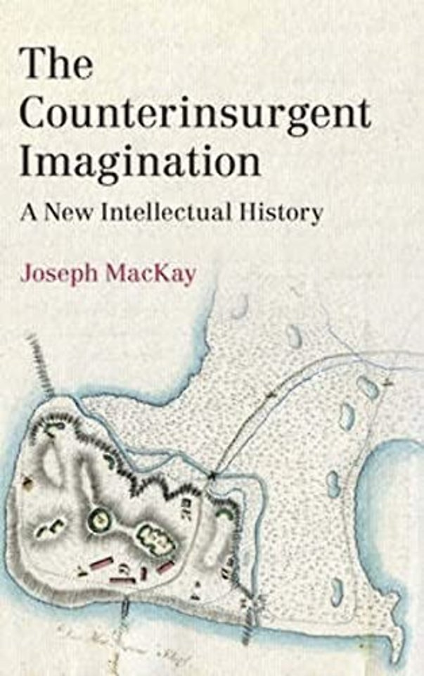 The Counterinsurgent Imagination